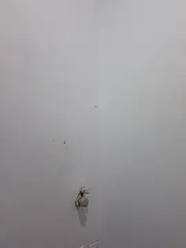 Aila Phone online show from March 29, 2:05 pm