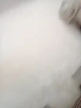 Mona ji32 online show from April 7, 5:09 am