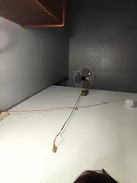 my33verything online show from March 18, 2:44 pm