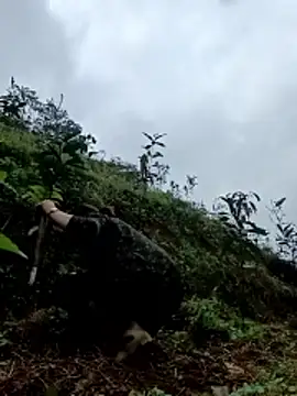 Eli18 online show from March 22, 8:20 am