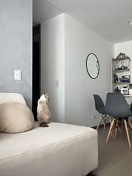 KattyCollins  online show from April 8, 8:00 pm