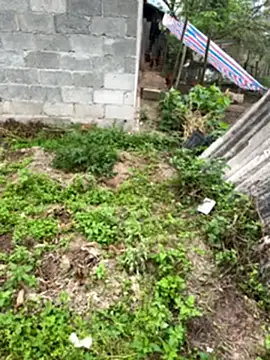 leilei998 online show from April 5, 1:37 am