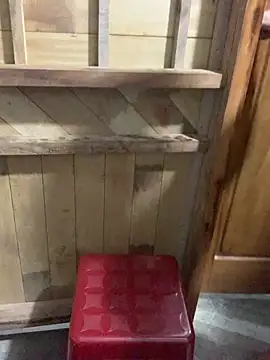 Zinii99 online show from April 9, 1:05 pm