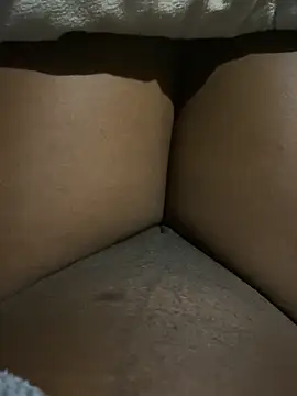 2nico online show from April 9, 7:41 pm