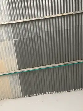 RAMONA and ROGER online show from April 16, 1:33 pm