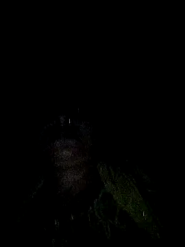 Bebonew1 online show from April 16, 3:12 pm