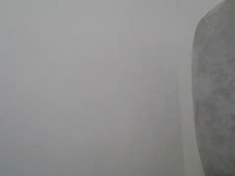 Tehiller online show from July 15, 10:42 am
