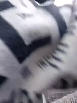 misscectito13 online show from September 24, 4:50 pm