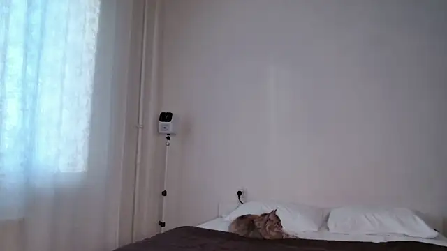 Milky   Way online show from October 2, 1:49 pm