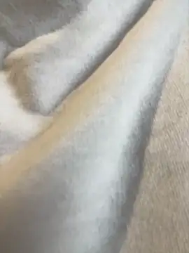 Aestheticsgirl online show from March 3, 7:47 am