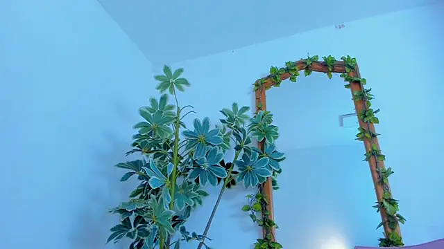 NinaWong online show from February 26, 7:02 pm