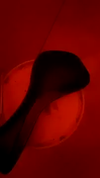 Misspadrona88 online show from February 13, 10:33 pm