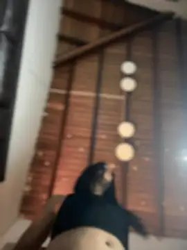 Ashly Miller online show from November 14, 8:09 pm