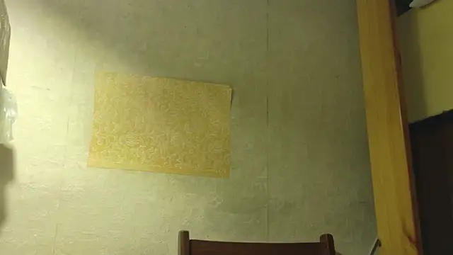 FrumCake online show from April 22, 3:42 pm