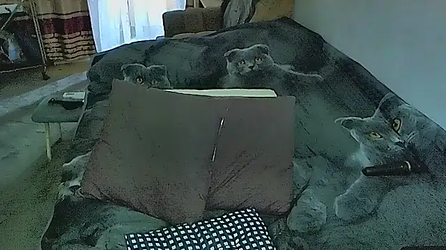 sex2 online show from November 1, 1:32 am