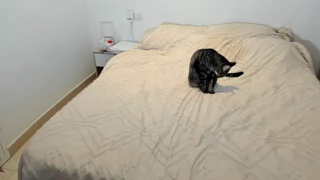 MariaMeir online show from January 10, 10:25 pm