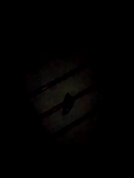 marie12345679 online show from March 26, 7:04 pm