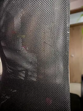 DulceLenns online show from December 13, 7:53 pm