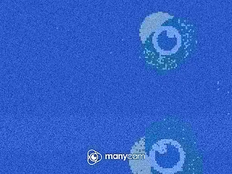 Studda30 online show from October 2, 12:43 pm