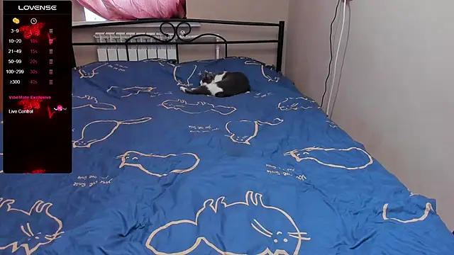 eva zero online show from November 3, 11:36 am