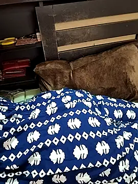 Diya 143 online show from March 14, 9:43 am