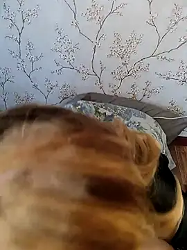 Lovers  Annn online show from October 11, 11:04 am