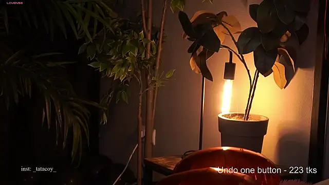 TataCoy online show from February 15, 2:49 pm