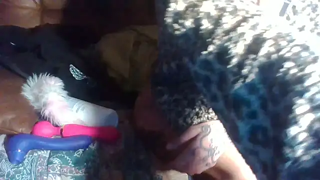 Strip-Nomy online show from April 9, 2:03 am