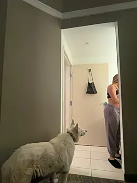 Bigbuttbrooklynn online show from November 27, 8:39 am